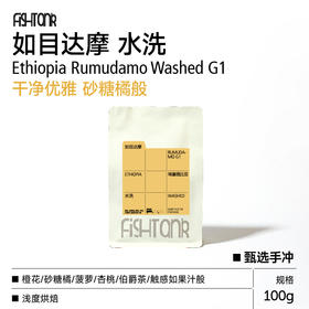 埃塞 如目达摩 水洗 G1 甄选手冲咖啡豆