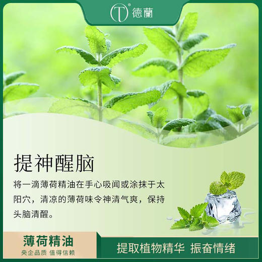 中粮德兰薄荷精油10ml 商品图1