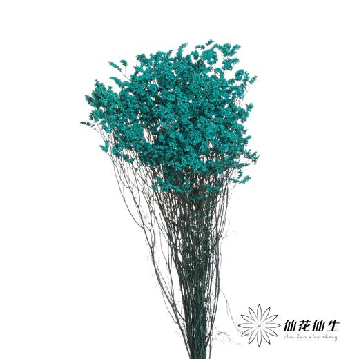 永生花材 | 水晶草蓝色 商品图0