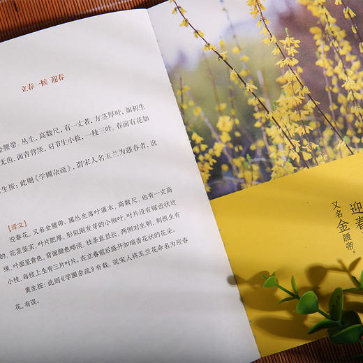 《时节气候抄》（一部关于二十四节气文化的百科全书。当古籍遇上现代美学，揭开时节与气候的千古奥秘，畅享知识与艺术的双重愉悦。引领我们探寻人类与自然和谐共生的智慧与路径。） 商品图4