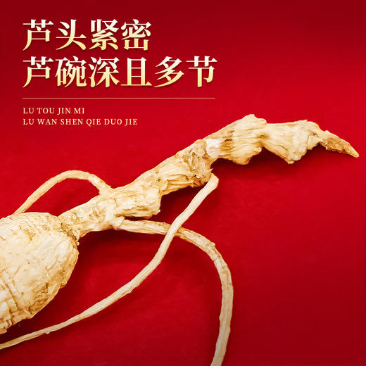 热销J【林下参50g】长白山人参林下参礼品盒装50g 商品图2
