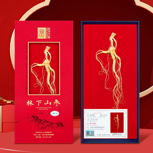 【长白山人参】林下山参开窗礼盒3g/4g/5g 商品图0