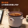 九阳 电炖锅DGD1505AM 商品缩略图3