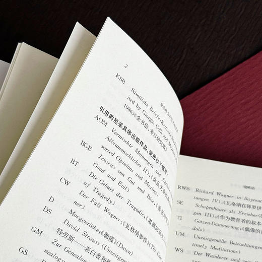 尼采作为古代文史学者 经典与解释 尼采注疏集 西方学界关于尼采研究的新成果 商品图8