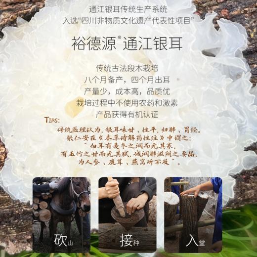 (合伙人)裕德源润耳通江银耳精华水120ML 商品图3