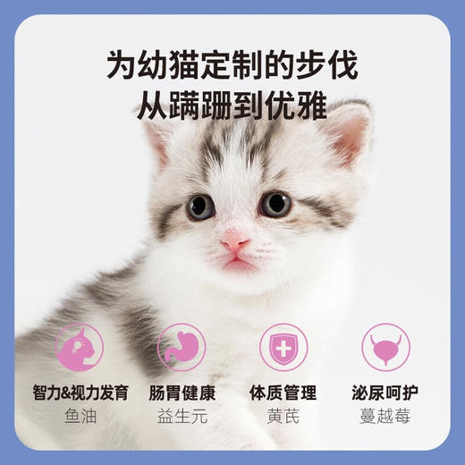 【试吃装】伯纳天纯经典成猫幼猫奶糕猫粮主粮250g 商品图3