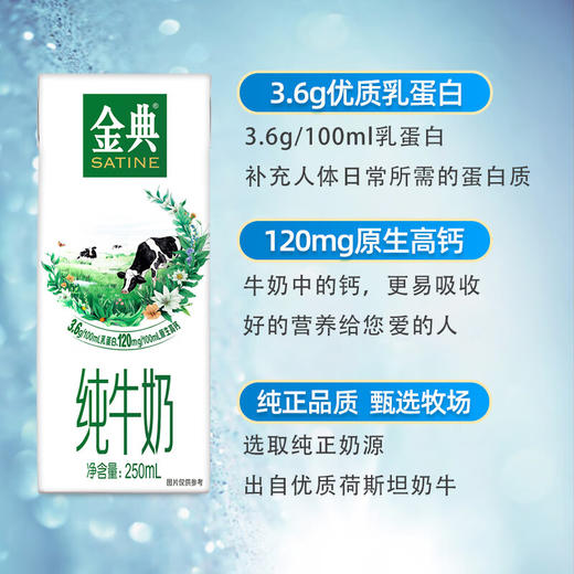 【自营】伊利 金典纯牛奶 250ml*12支 商品图2