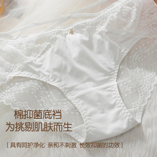 精致绑带美臀裤2条装 性感列维斯蕾丝 轻盈臻丝 100%有机棉抗菌抑菌 内裤性感底裤 商品图4