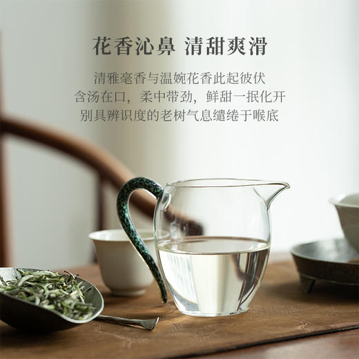 「北路白茶」老树牡丹王 福鼎白茶白牡丹2024年新茶茶叶礼盒装250g 商品图3