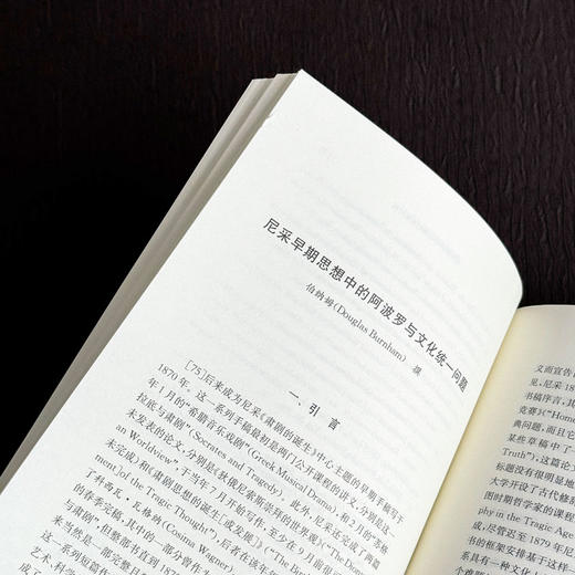 尼采作为古代文史学者 经典与解释 尼采注疏集 西方学界关于尼采研究的新成果 商品图10