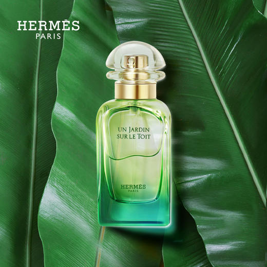 【保税仓】法国Hermes爱马仕尼罗河花园中性香水 50ml EDT（有效期至26年10月） 商品图1