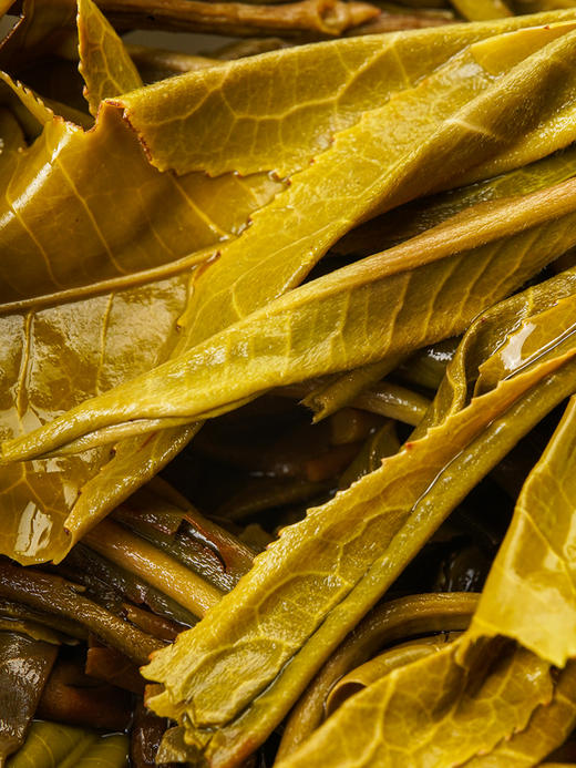 【茶农自存-冰岛老寨】2016年存世茶后冰岛老寨 茶农自存好茶 挑树挑采仅供贵客 ！ 商品图7