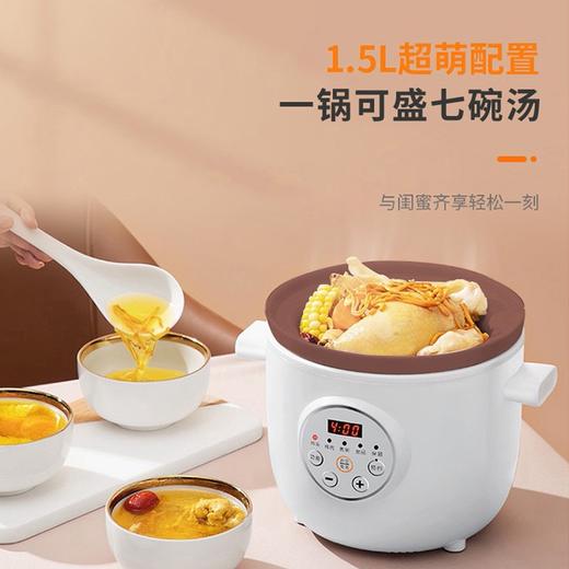 九阳 电炖锅DGD1505AM 商品图0