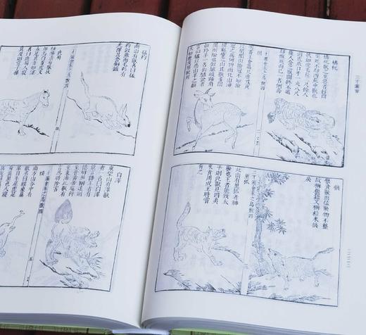 《三才图会》，精装，16开，全三册，明  王圻等编，上海古籍出版社，定价498，售价224元，品相9成左右。 商品图11