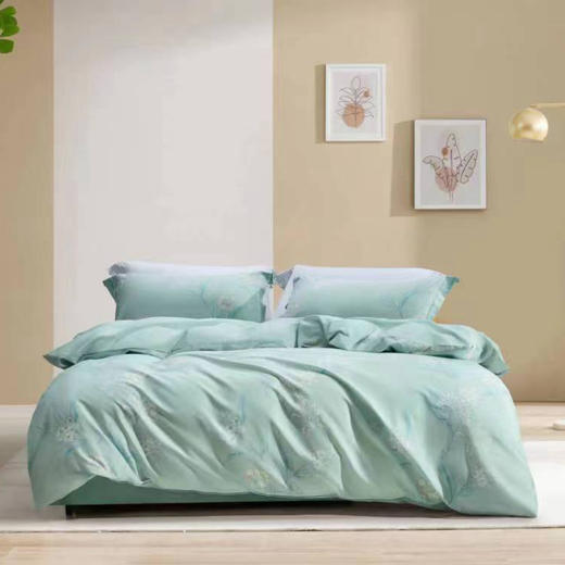 【全国包邮】水星家纺 四件套200*230cm （送七孔春秋被芯） 商品图1