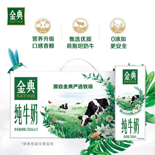 【自营】伊利 金典纯牛奶 250ml*12支 商品图1