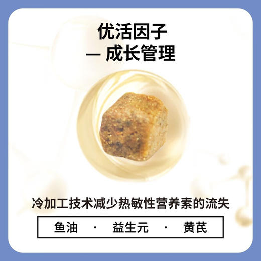 【试吃装】伯纳天纯经典成猫幼猫奶糕猫粮主粮250g 商品图1