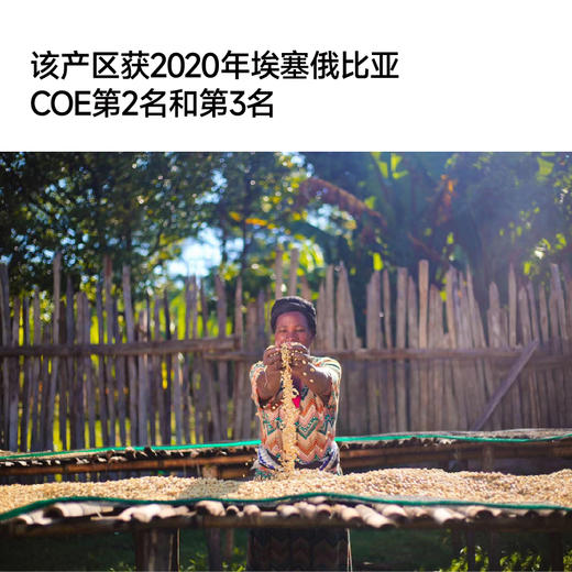 埃塞 如目达摩 水洗 G1 甄选手冲咖啡豆 商品图3