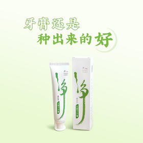 无患子牙膏100g*2支 薄荷味（有泡沫 不含氟）| 深圳 悦意