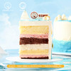 双子座“蓝色多瑙河”乳酪芝士生日蛋糕 商品缩略图3