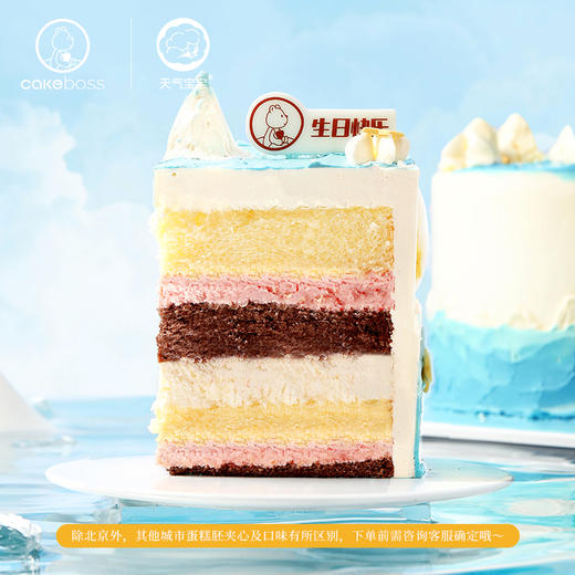 双子座“蓝色多瑙河”乳酪芝士生日蛋糕 商品图3