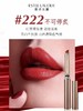 雅诗兰黛细金管唇膏/口红 辛芷蕾同款222 礼物送女友 商品缩略图2