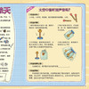 《侦探菜小白科普推理故事书》（全6册） 商品缩略图13