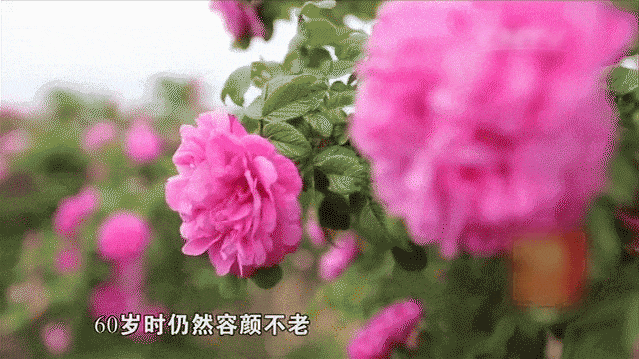 决定女性衰老速度的行为：运动第三，睡觉第二，第一很少人知道