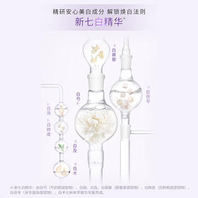 佰草集新七白透亮白泥面膜(6G*18)