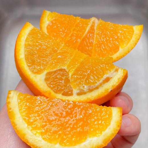 【春之语】湖北伦晚橙 商品图1