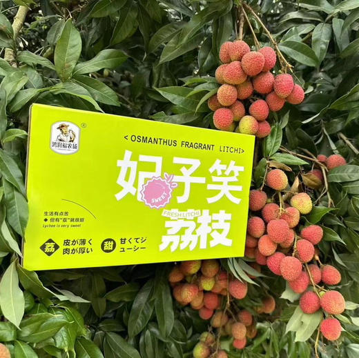 海南 妃子笑鲜荔枝 不泡水的干荔枝，孩子放心吃 商品图7