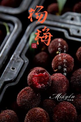 口口爆汁，颗颗甄选！【浙江东魁杨梅/蜜丝杨梅】高山密林种植 自然生态甜度高 颗颗饱满汁水足！