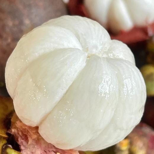 泰国东方红5A山竹（麻竹） | 水果 商品图1