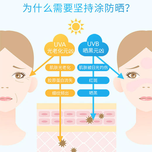 安热沙（Anessa）金灿倍护防晒乳 60mL 小金瓶安耐晒防晒乳防水防汗 商品图2