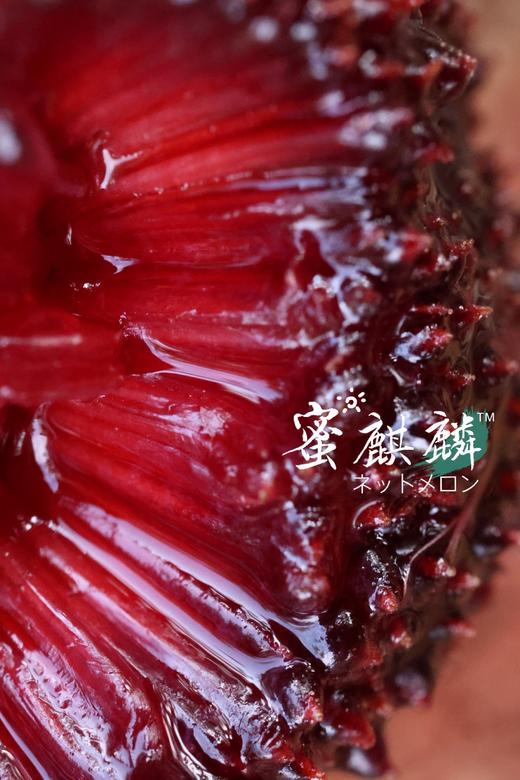 口口爆汁，颗颗甄选！【浙江东魁杨梅/蜜丝杨梅】高山密林种植 自然生态甜度高 颗颗饱满汁水足！ 商品图3