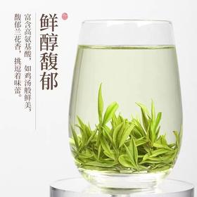 新茶上市 信隆晟信阳毛尖茶雨前嫩叶绿茶125克×2盒礼盒装黑龙潭新茶