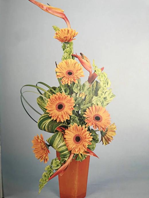 美式插花图集 约百余幅彩色插图 精装大16开 商品图7