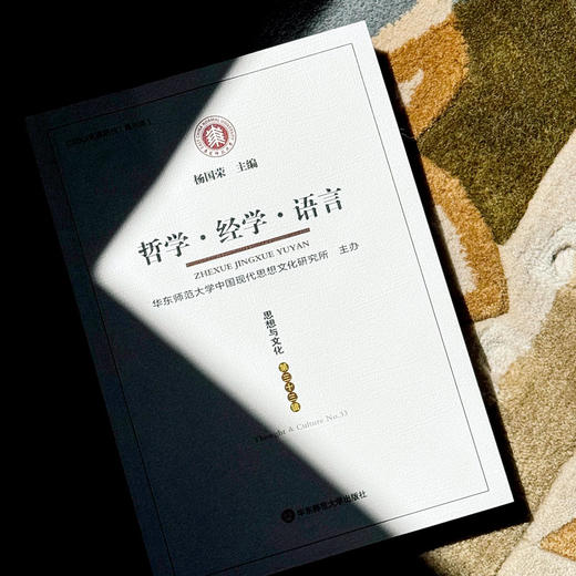 哲学 经学 语言 《思想与文化》第三十三辑 杨国荣主编 商品图3