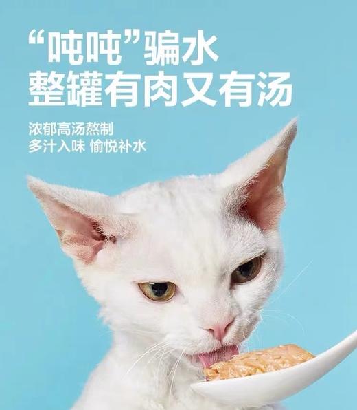 【精选好肉】网易严选猫罐头补水浓汤白肉零食罐头85g/罐口味随机 商品图3