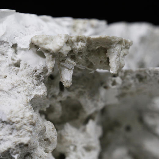 微缸成品造景 背滤款 多款式 商品图5