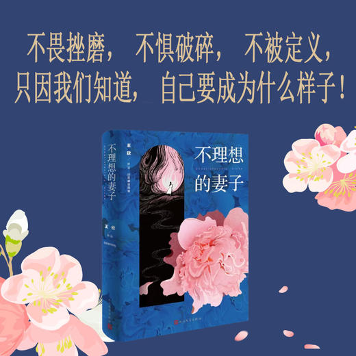 不理想的妻子（@反裤衩阵地/王欣全新作品）(王欣（网络名：反裤衩阵地）) 商品图0