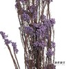永生花材 | 小米花紫色 商品缩略图3