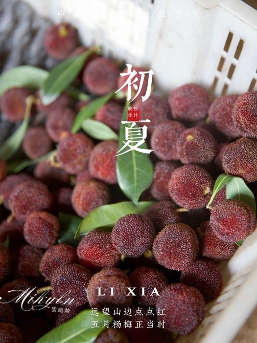 口口爆汁，颗颗甄选！【浙江东魁杨梅/蜜丝杨梅】高山密林种植 自然生态甜度高 颗颗饱满汁水足！ 商品图7