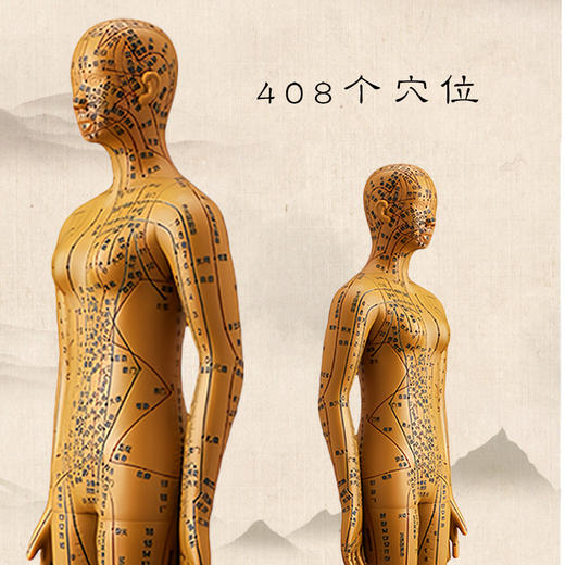 铜色针灸穴位人体模型 男女版（硬款，高约35cm） 商品图3