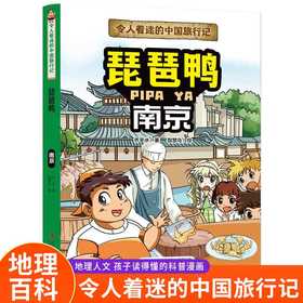 令人着迷的中国旅行记琵琶鸭——南京(乔冰)