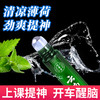 【限时秒杀】云南本草提神醒脑清醒棒开车防困神器学生上课鼻通吸式清凉油滚珠瓶 商品缩略图2