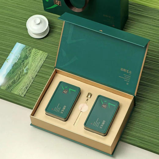 新茶上市 信隆晟信阳毛尖茶雨前嫩叶绿茶125克×2盒礼盒装黑龙潭新茶 商品图1