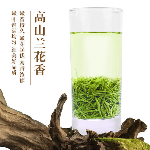新茶上市 信隆晟信阳毛尖茶明前特级嫩芽125克×2盒“传承一味”陶瓷罐礼盒装黑龙潭新茶 商品图2