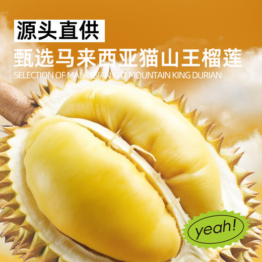 猫山王榴莲冰皮水晶粽， 网络爆火！糯叽叽、大爆浆！香甜入魂！54g*8枚/盒【G】 商品图4