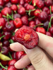 产量极少的布鲁克斯樱桃，硬度高，脆甜，500克/盒 商品缩略图1